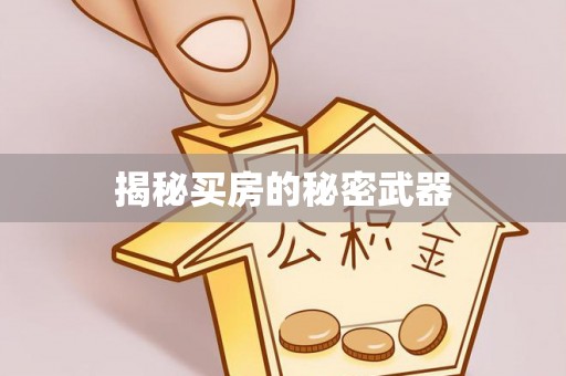 元长揭秘买房的秘密武器