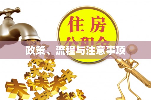 元长政策、流程与注意事项