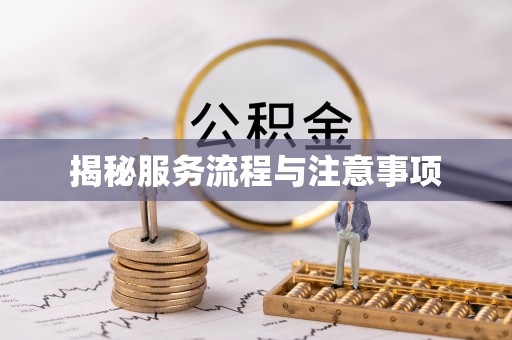 元长揭秘服务流程与注意事项
